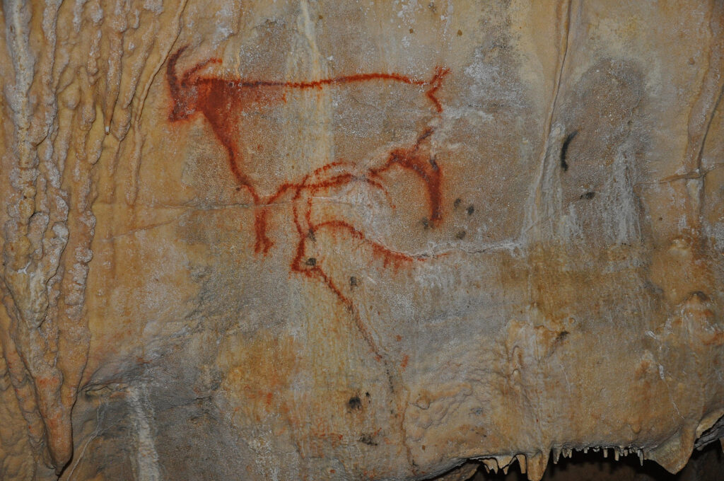 11 grotte de cougnac bouquetin 