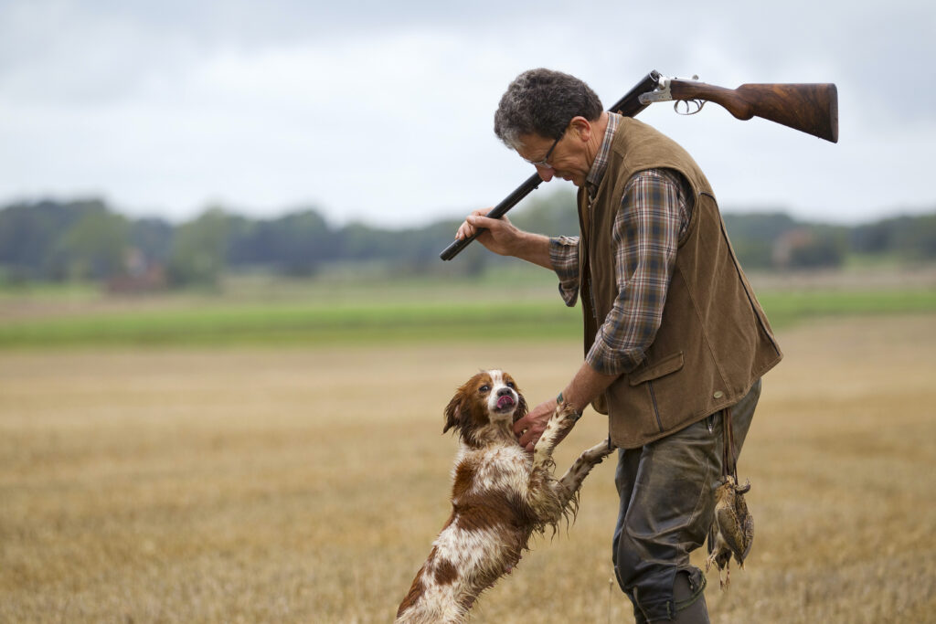 13 petit gibier au chien darrret c d. gest 1