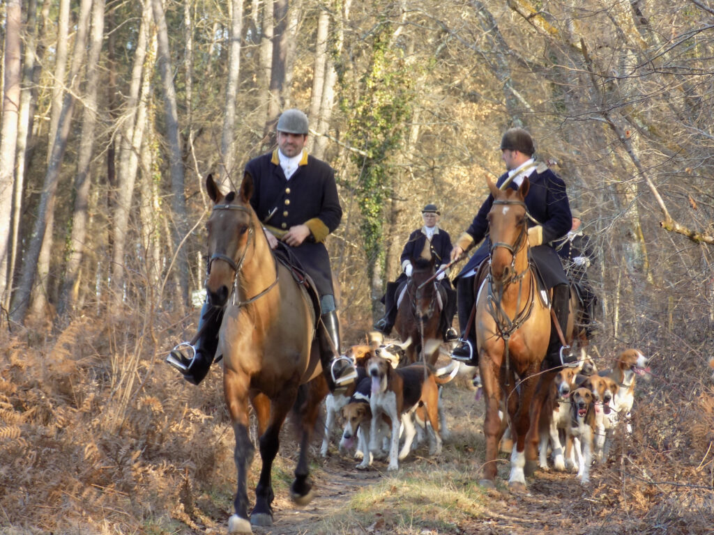 3 chasse a courre lionel lagardere bis 1