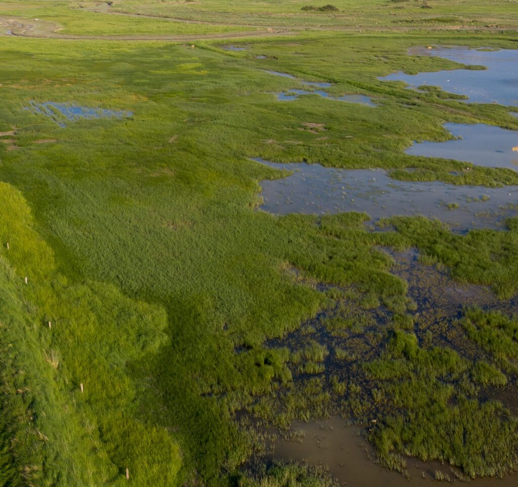 5 prairie humide paysage dgest fnc 2021 30