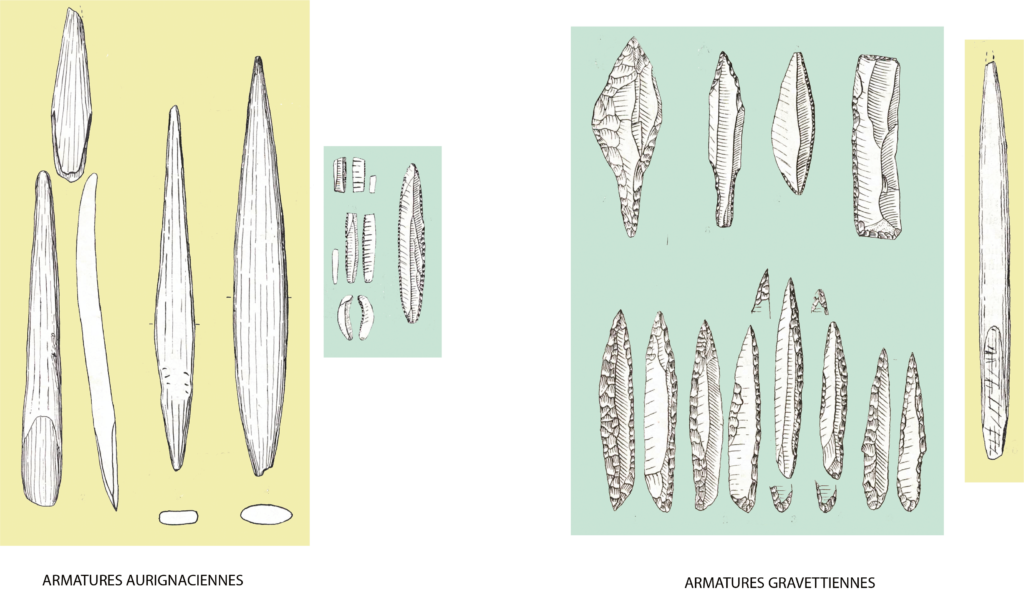 5 armatures paleo sup ancien