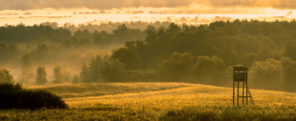 hunting tower in the valley in the morning mists