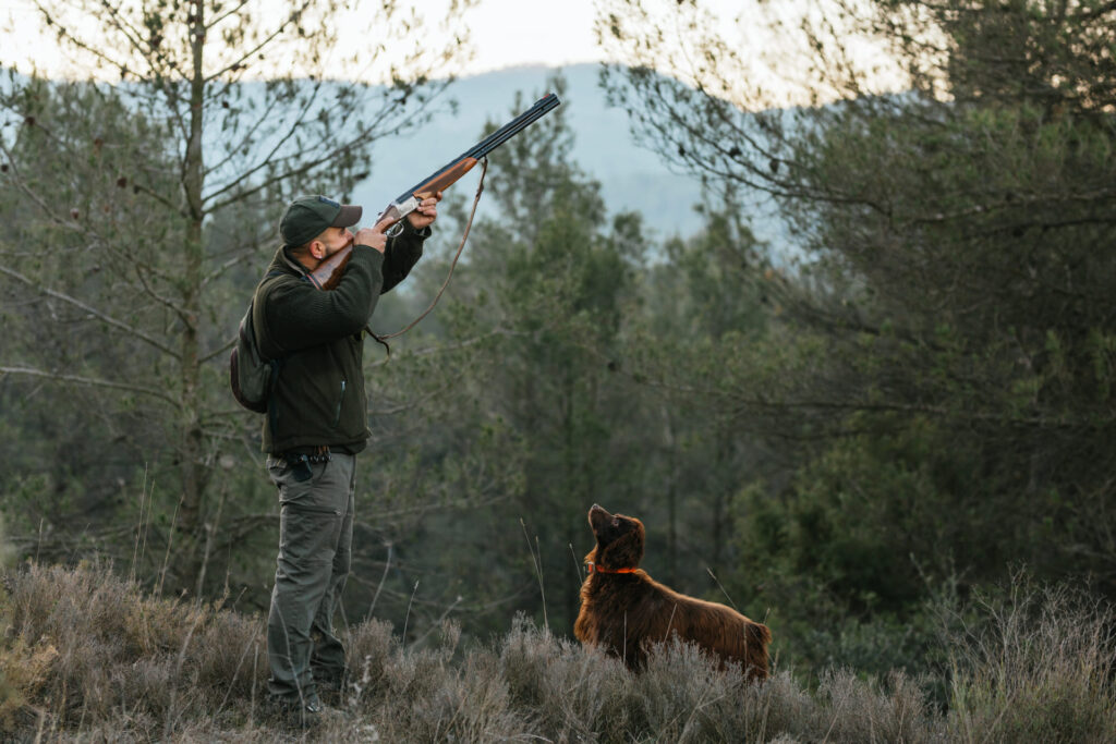 chasseurs fusils bois chien